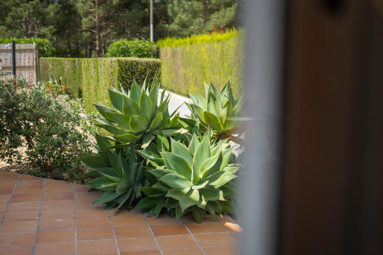Casa Garrod - Spacious Family Villa Aljezur Zewnętrze zdjęcie